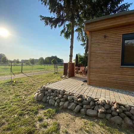 Tiny Haus Straussenblick 2 Villa Bad Fallingbostel Exterior photo